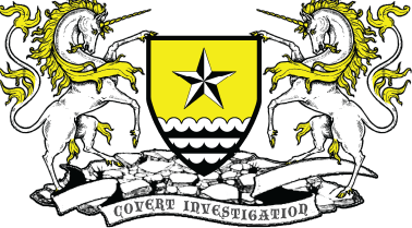 Covert Investigation Covert Investigation